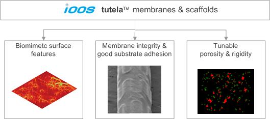 tutela membranes and scaffolds to fabricate covered medical devices